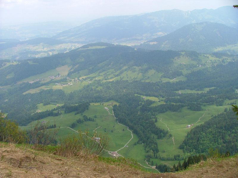 2005