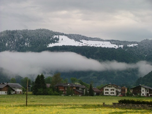 2006