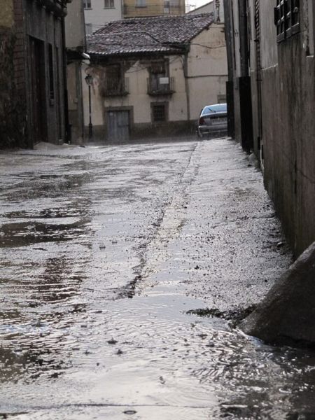 pidrahita regen